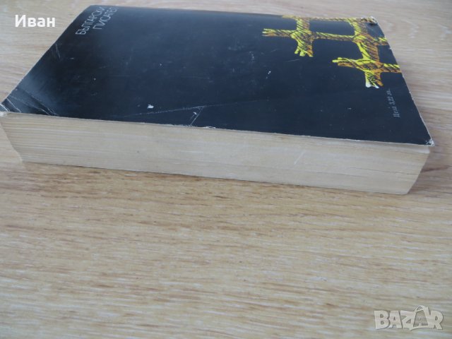 Изходът -Владимир Зарев, снимка 3 - Други - 28930498