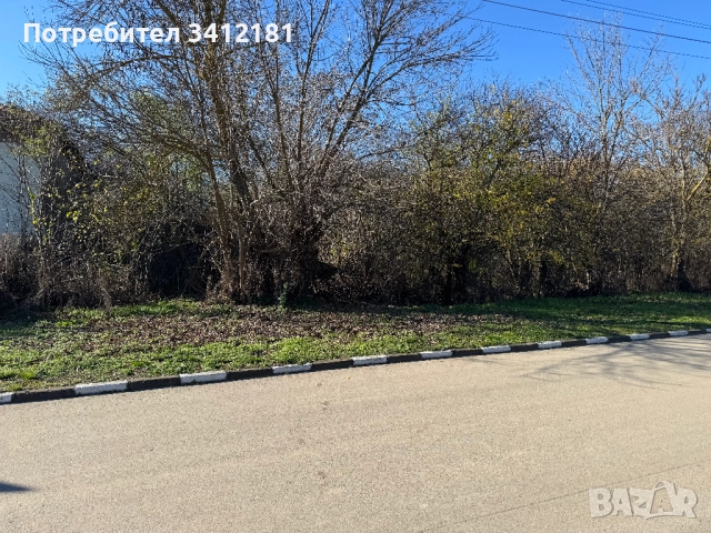 Парцел 1600 кв.м. с къща за основен ремонт в село Росица област Добрич собственик , снимка 5 - Къщи - 52341885