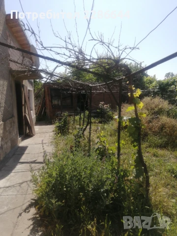 Продавам къща в с. Червена вода, снимка 4 - Къщи - 50892732