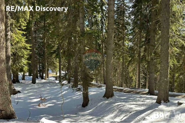 Урегулиран поземлен имот - За продажба - к.к. Пампорово, Област Смолян