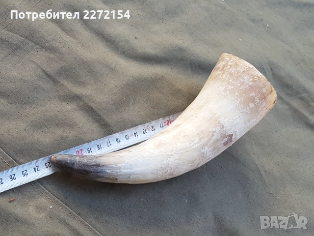 Рог чаша, снимка 3 - Антикварни и старинни предмети - 51435653