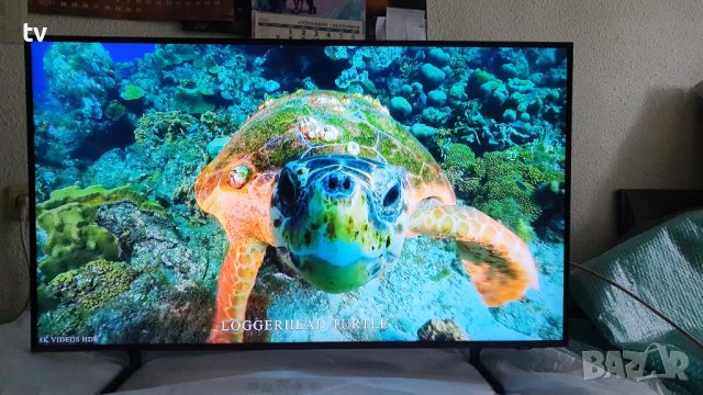 Телевизори: Купи ТВ - Втора ръка • Нови - ХИТ цени онлайн — Bazar.bg