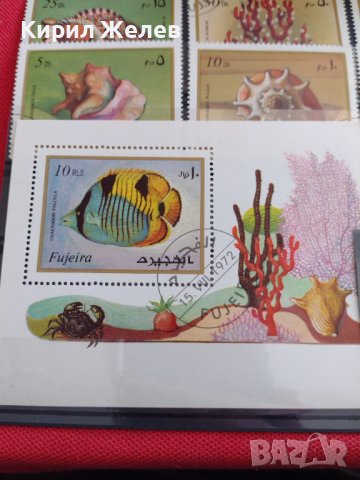 Пощенски марки серия ЕКЗОТИЧНИ РИБИ,РАКОВИНИ за КОЛЕКЦИЯ 37886, снимка 4 - Филателия - 40455113