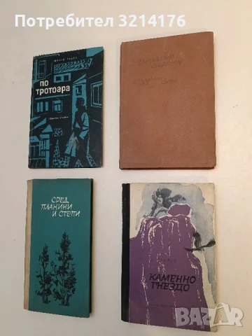 Изчезналото съкровище. Другият свят - Григорий Гребнев