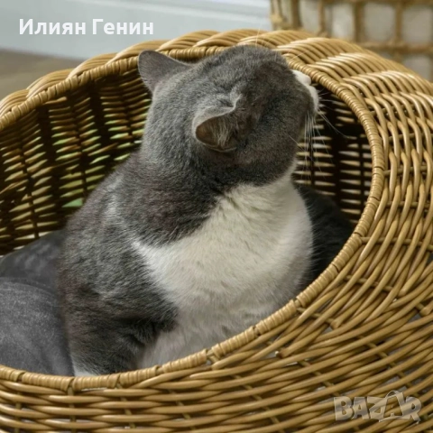 Котешка легло PawHut с миеща се възглавница, снимка 7 - За котки - 51752866