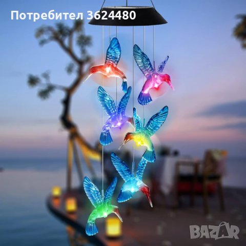 Соларни камбанки колибри