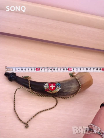 Изключително Рядък Рог, снимка 8 - Антикварни и старинни предмети - 50507070