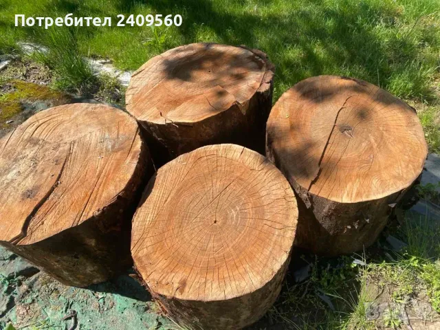 Орех, орехови трупи, дървен материал, снимка 1