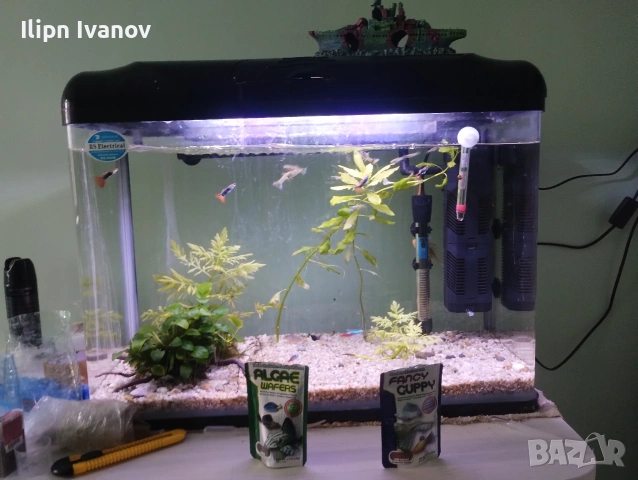 продавам аквариумите и всичко което виждате на снимките 