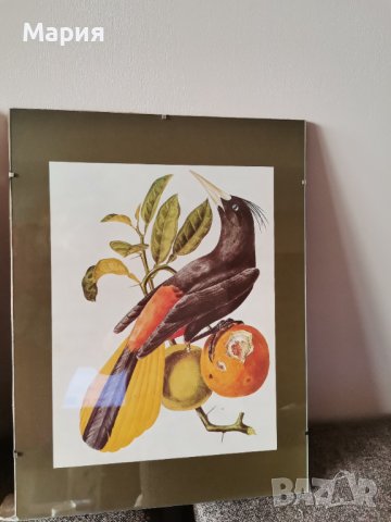 Четворна композиция картини, снимка 7 - Картини - 43762164