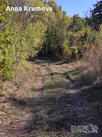 Къща с голям двор в с Туден, община Годеч, Софийска област , снимка 12 - Къщи - 53439466