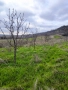 Здрава Хижа с 3.7 дка земя до с. Драганово – Идеална за пчелин, ферма!, снимка 3
