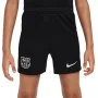 Детски шорти Nike F.C. Barcelona FQ0082-010, снимка 1