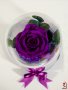 Лилава Вечна Роза в Стъкленица / Оригинален Подарък за Жена / Лилава Естествена Вечна Роза, снимка 1