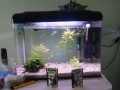 продавам аквариумите и всичко което виждате на снимките , снимка 1