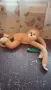 Плюшени играчки , снимка 7