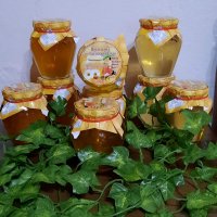 Пчелен мед от Еленския балкан 2023, снимка 8 - Пчелни продукти - 30567850