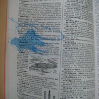  Енциклопедичен речник Larousse, снимка 12 - Енциклопедии, справочници - 40447737