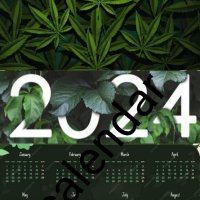 Календари 'Legalize THC Weed' (Супер Ламинат), снимка 4 - Други - 39806984