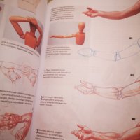 Нова! Работа с натура книга за рисуване на голо човешко тяло на руски, снимка 4 - Специализирана литература - 43250713