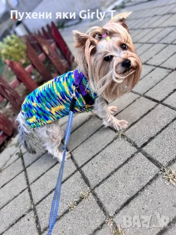 Плетена дрешка за куче по Индивидуален размер Различни цветове , снимка 10 - За кучета - 44343726