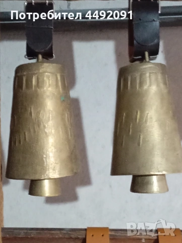 чанове Звънци 20-21