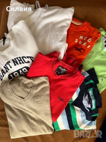 Мъжки блузи и пуловери