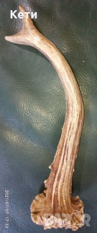 Рог от сръндак