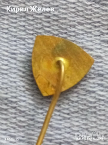 Пет значки стари редки от соца VITELLA,B.W.V., CASTELLA за КОЛЕКЦИЯ ДЕКОРАЦИЯ 18689, снимка 7 - Колиета, медальони, синджири - 50848312