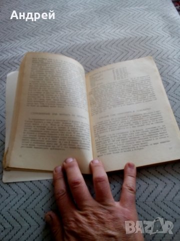 Книга Съвети за жената, снимка 4 - Други - 28905625