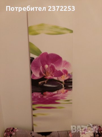 Продавам ПАНО ОРХИДЕЯ, снимка 4 - Пана - 37887802