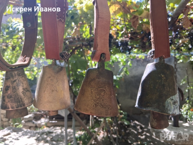 Звънци; Чан; Чанове, снимка 11 - Колекции - 51641673