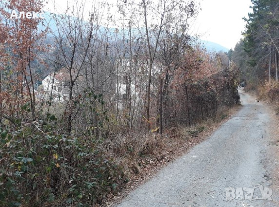 Продава УПИ в кв.Княжево, снимка 4 - Парцели - 44906351