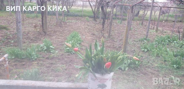 Продава се едноетажна масивна къща, снимка 9 - Къщи - 32613109