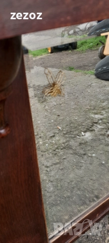 Ретро огледало-масив, снимка 5 - Огледала - 52612394