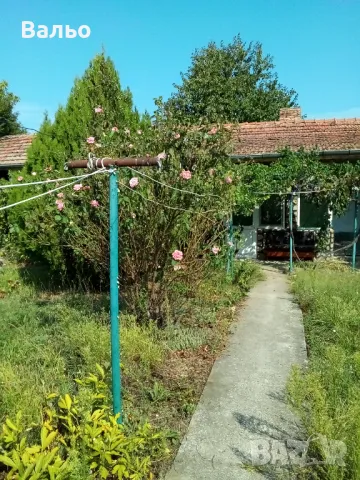 Къща под наем квартири нощувки в Белене , снимка 6 - Квартири, нощувки - 47353534