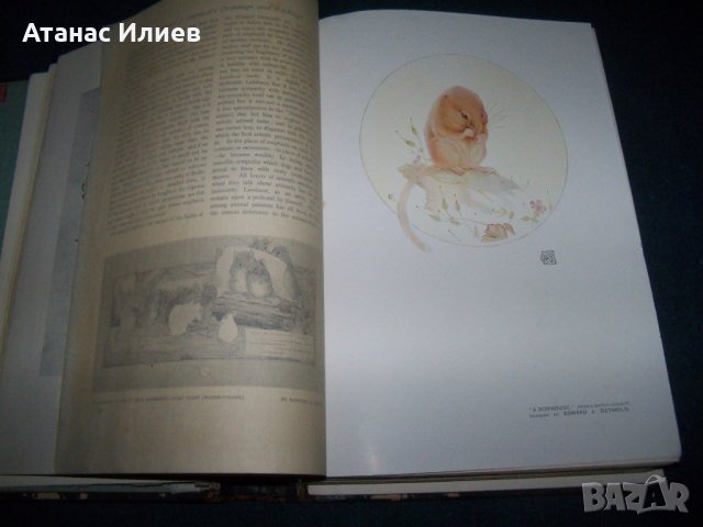 Шест броя на "The Studio" списание за изящни изкуства от 1911г., снимка 3 - Списания и комикси - 27656963