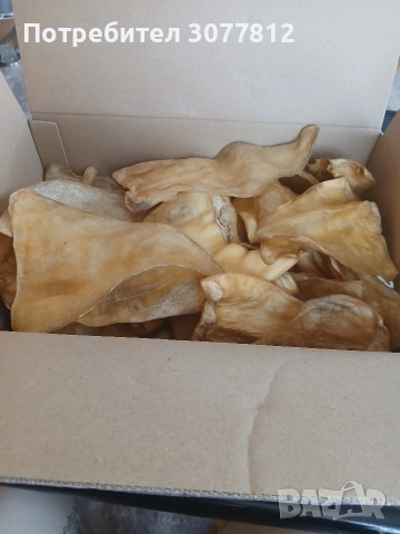 Премиум свински уши за кучета, снимка 2 - За кучета - 53189716