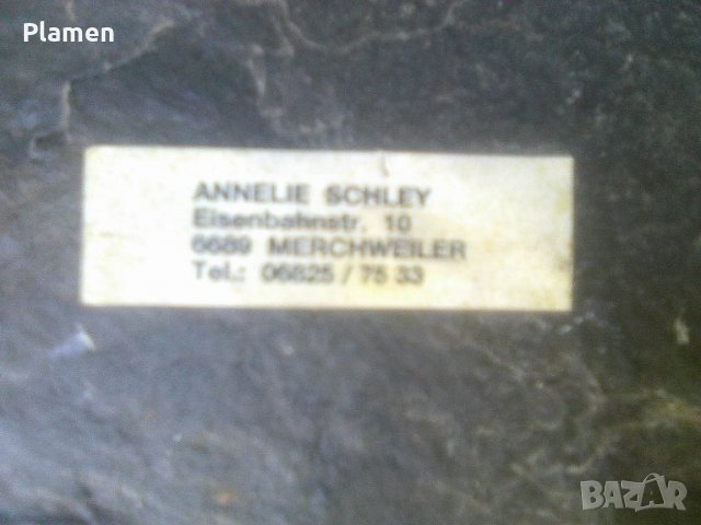 75 години германско общество за защита на природата сувенир върху скала, снимка 3 - Колекции - 39576959