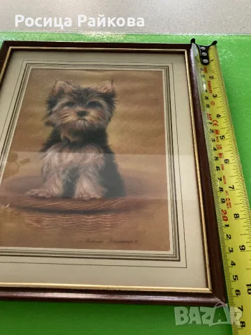 Картина с рамка, снимка 5 - Картини - 50022335