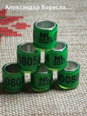 Пръстени за гълъби, папагали,канари за 2025 г, снимка 7 - Гълъби - 48763304