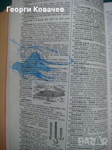  Енциклопедичен речник Larousse, снимка 12 - Енциклопедии, справочници - 40447737