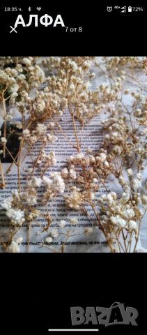 Сухи цветя за украса и аранжировка - гипсофил , снимка 3 - Други стоки за дома - 50565285