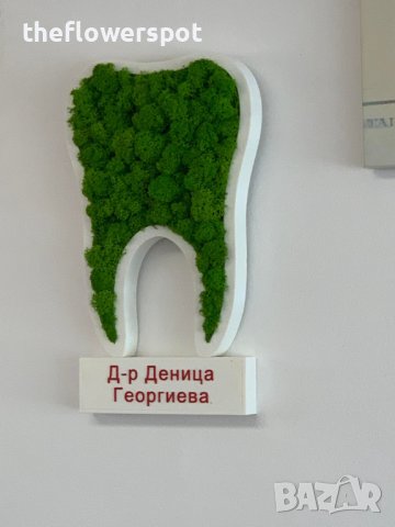 Подарък - За зъболекар и зъботехник - зъб със скандинавски мъх, снимка 2 - Други - 40661965