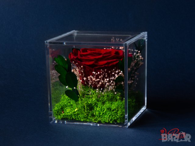 Естествена Вечна Роза в Акрилна Кутия / Уникален Подарък за Рожден Ден / Жива Вечна Роза в Кутия, снимка 8 - Подаръци за жени - 43749115