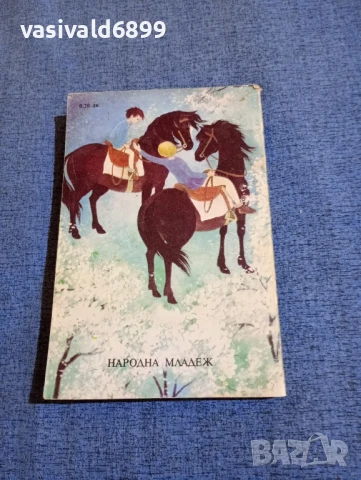 Астрид Линдгрен - Братята с лъвски сърца , снимка 3 - Детски книжки - 50996957