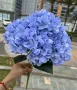 Изкуствени цветя ХОРТЕНЗИИ в различни цветове, снимка 3