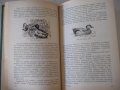 Книга "Справочник охотника и рыболова-Сборник" - 424 стр., снимка 6