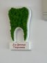 Подарък - За зъболекар и зъботехник - зъб със скандинавски мъх, снимка 2