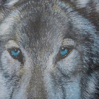 Нов мъжки суичър с трансферен печат Вълк със сини очи, в два цвята, снимка 5 - Суичъри - 27496023
